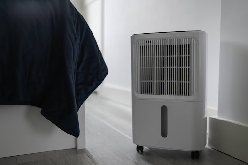 Gallery Sep 1 1765796042 Jpg