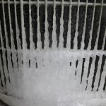 Gallery Sep 3 2 1765796498 Jpg