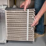 Gallery Unnamed 6 15 1765833213 Jpg