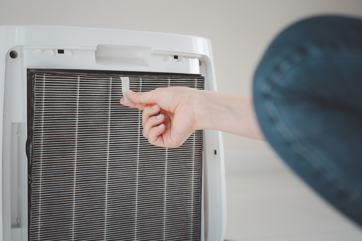 Gallery Reck Istock 2 1772649095 Jpg